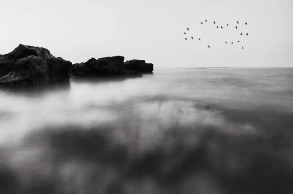 Paysage Marin Avec Des Rochers Des Oiseaux Image Monochrome Longue — Photo