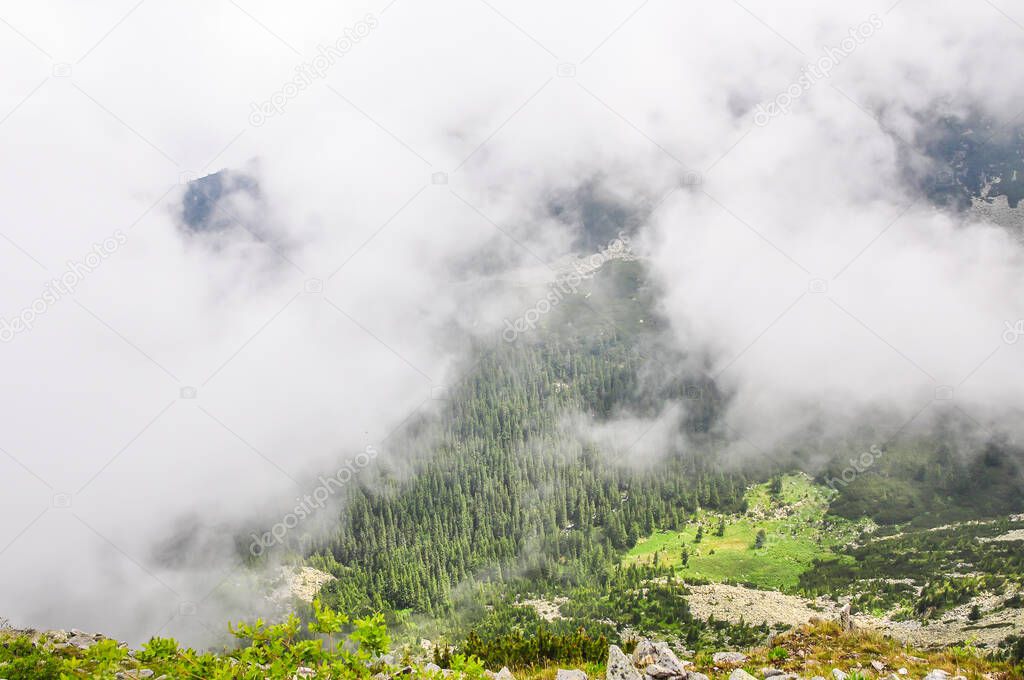 mountain spring landscape on a foggy day