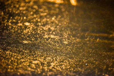 Yağmur damlaları gecenin bir yarısı kaldırıma çarpıyor.