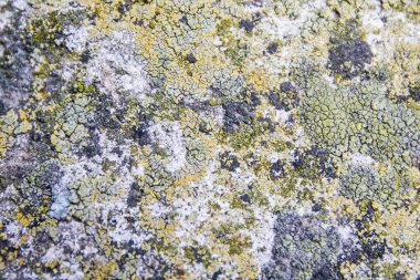 çatlaklı turuncu beton duvar dokusu