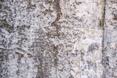 Çatallı ahşap doku