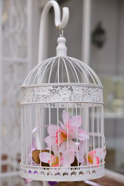 Kafeste çiçek süslemesi