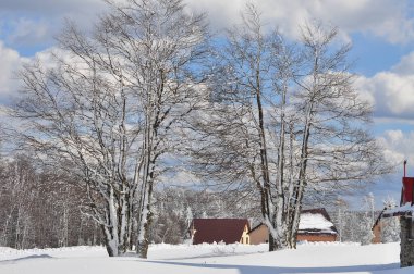 bulutlu kış dağ manzarası