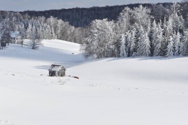 bulutlu kış dağ manzarası