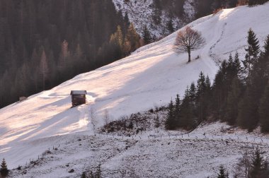 Grossarl, Austia 'da kış manzarası