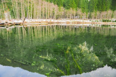 Avusturya Alplerinde kış manzarası