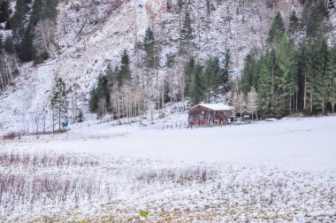Avusturya Alplerinde kış manzarası