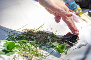 Masada bitki örtüsü ve çamur var.