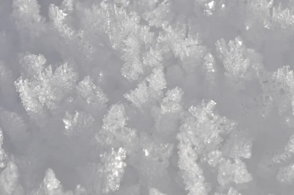 Abstract Snowflakes Texture Details — Stock Photo, Image