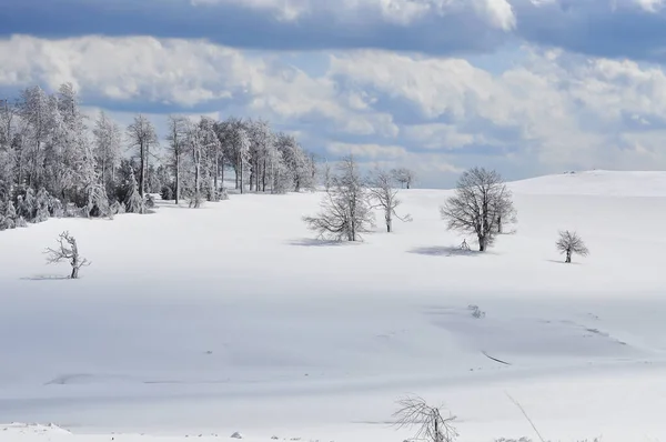 Хмарний Зимовий Гірський Пейзаж — стокове фото