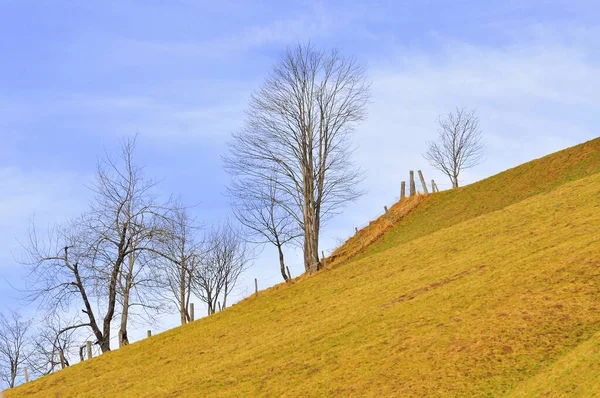 Paisaje Invernal Los Alpes Austríacos —  Fotos de Stock