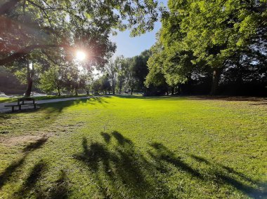 Tuna nehri yakınlarındaki yaz manzarası, Regensburg şehri, Almanya, Avrupa