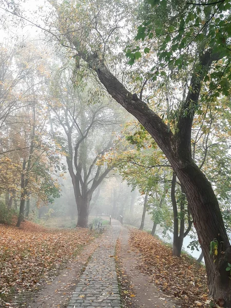 Paisaje Otoño Cerca Del Río Danubio Ciudad Ratisbona Europa — Foto de Stock