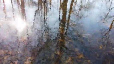 Sonbahar ağaçları ve altın güneş, 4K videosundaki dalgalı Park Gölü suyuna çok güzel yansıyor.