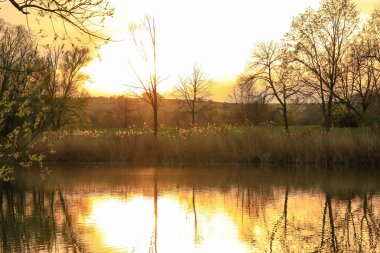 İnsanlar güzel Regensburg ilkbahar doğasında göl kenarındaki manzaralı kırsal bir yolda gezinir ve dinlenir.