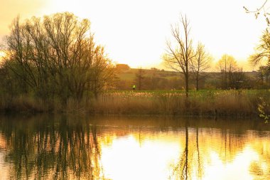İnsanlar güzel Regensburg ilkbahar doğasında göl kenarındaki manzaralı kırsal bir yolda gezinir ve dinlenir.