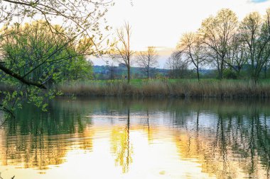 İnsanlar güzel Regensburg ilkbahar doğasında göl kenarındaki manzaralı kırsal bir yolda gezinir ve dinlenir.