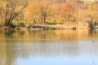 Regenburg, Almanya, 27 Mart 2022: İnsanlar güzel Regensburg ilkbahar doğasında göl kenarındaki manzaralı kırsal bir yolda yürüyüp dinleniyorlar