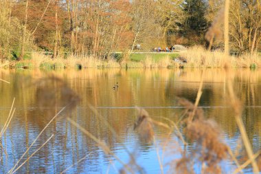 Regenburg, Almanya, 27 Mart 2022: İnsanlar güzel Regensburg ilkbahar doğasında göl kenarındaki manzaralı kırsal bir yolda yürüyüp dinleniyorlar