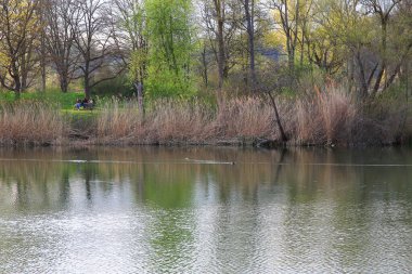 Regenburg, Almanya, 14 Nisan 2022: İnsanlar güzel Regensburg ilkbahar doğasında göl kenarındaki manzaralı kırsal bir yolda yürüyüp dinleniyorlar