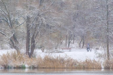 Regenburg, Almanya, 04 Aralık 2021: İnsanlar Tuna yakınlarındaki sakin göl kenarındaki karlı yolda yürüyor ve dinleniyorlar