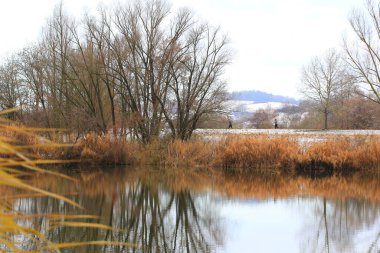 Regenburg, Almanya, 04 Aralık 2021: İnsanlar Tuna yakınlarındaki sakin göl kenarındaki karlı yolda yürüyor ve dinleniyorlar