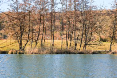 Regenburg, Almanya, 22 Mart 2022: İnsanlar güzel Regensburg ilkbahar doğasında göl kenarındaki manzaralı kırsal bir yolda yürüyüp dinleniyorlar