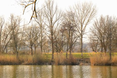 Regenburg, Almanya, 25 Mart 2022: İnsanlar güzel Regensburg ilkbahar doğasında göl kenarındaki manzaralı kırsal bir yolda yürüyüp dinleniyorlar