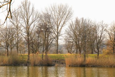 Regenburg, Almanya, 25 Mart 2022: İnsanlar güzel Regensburg ilkbahar doğasında göl kenarındaki manzaralı kırsal bir yolda yürüyüp dinleniyorlar