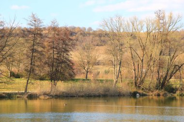 Regenburg, Almanya, 27 Mart 2022: İnsanlar güzel Regensburg ilkbahar doğasında göl kenarındaki manzaralı kırsal bir yolda yürüyüp dinleniyorlar
