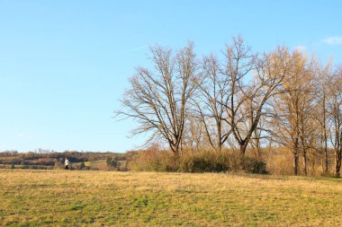 Regenburg, Almanya, 27 Mart 2022: İnsanlar güzel Regensburg ilkbahar doğasında göl kenarındaki manzaralı kırsal bir yolda yürüyüp dinleniyorlar
