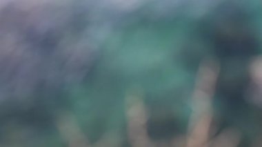 Işıldayan ışık küreleri bulanık okyanus dalgalarında danseder kıyı kıvılcımları saçar