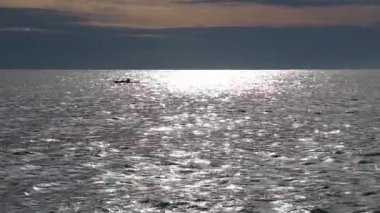 Siluet kürek kanosu güneşli okyanus Bogliasco İtalya 'nın güneş yansıma bölgesinden geçiyor.