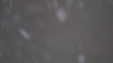 Şiddetli Kar Tanelerinin Kapanışı Kış Tipi Hızla Düşüyor