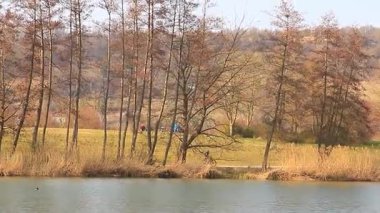 Aktif insanlar, altın sonbahar ağacı yansımalarıyla huzurlu bir göl kıyısında bisiklet sürüyorlar.