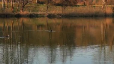 Bavyera 'da Sonbaharda Sahilde Koşan İnsanlar