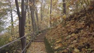 Sonbahar Yaprakları Altında Eski Taş Merdivenler Regensburg Parkı 'nda