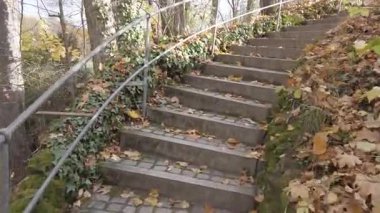 Sonbahar Yaprakları Altında Eski Taş Merdivenler Regensburg Parkı 'nda