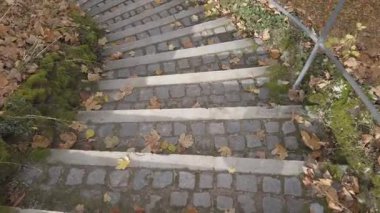 Sonbahar Yaprakları Altında Eski Taş Merdivenler Regensburg Parkı 'nda