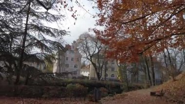 Şehir parkındaki kalın turuncu bir halıya düşen sonbahar yapraklarının güzel manzarası.