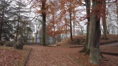 Şehir parkındaki kalın turuncu bir halıya düşen sonbahar yapraklarının güzel manzarası.