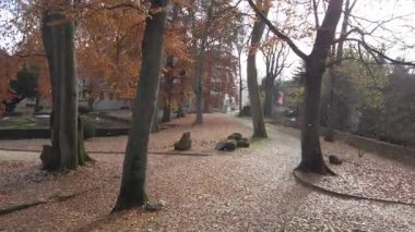 Şehir parkındaki kalın turuncu bir halıya düşen sonbahar yapraklarının güzel manzarası.