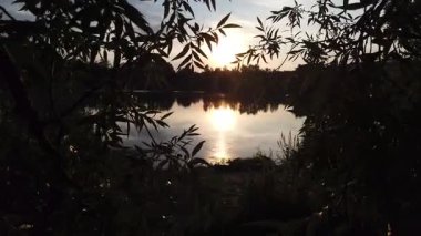 Altın güneş, Regensburg yakınlarındaki sakin göl suyuna yansıyan orman siluetlerinin ardında batıyor.