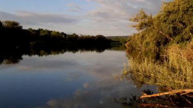Bahar gölü manzarası, Regensburg Almanya yakınlarındaki sakin sulara mükemmel yansıyan ağaçları gösteriyor.