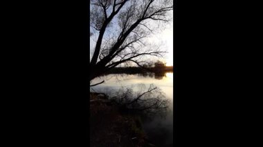 Altın güneş, Regensburg yakınlarındaki sakin göl suyuna yansıyan orman siluetlerinin ardında batıyor.