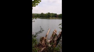 Huysuz bahar gölü devrilmiş ağaçlar sakin su bulutlu gökyüzü Regensburg