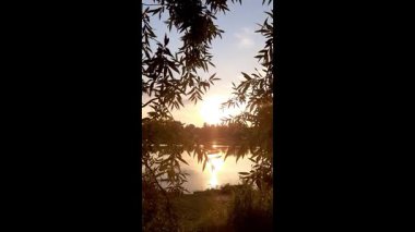 Altın güneş, Regensburg yakınlarındaki sakin göl suyuna yansıyan orman siluetlerinin ardında batıyor.