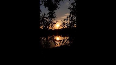 Altın güneş, Regensburg yakınlarındaki sakin göl suyuna yansıyan orman siluetlerinin ardında batıyor.