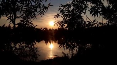 Altın güneş, Regensburg yakınlarındaki sakin göl suyuna yansıyan orman siluetlerinin ardında batıyor.