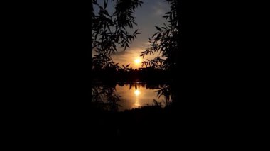 Altın güneş, Regensburg yakınlarındaki sakin göl suyuna yansıyan orman siluetlerinin ardında batıyor.